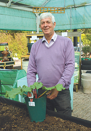 Terry Walton