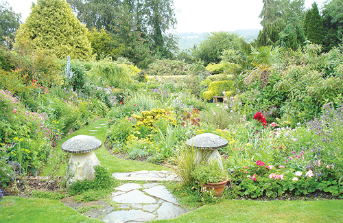 A recent photograph of Sue's garden in Caterham.