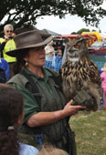 Eagle-Owl_