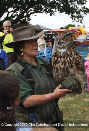 DeFest 20/06/2010 / Eagle-Owl.jpg