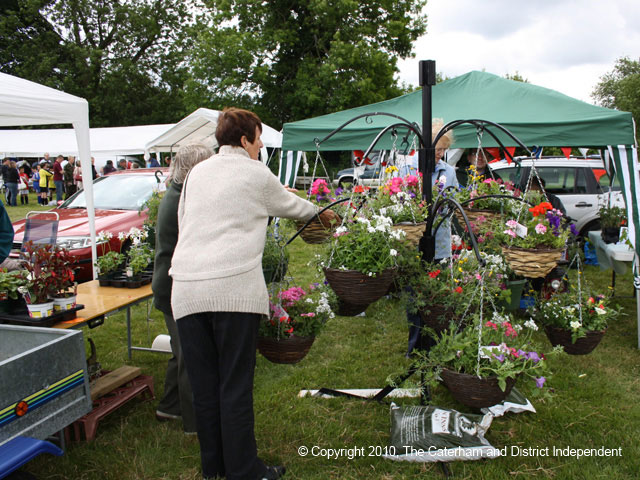 Warlingham Fair 2010 / IMG_0514.jpg